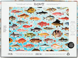 Judgy Fish Puzzle 1000pc