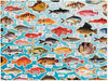 Judgy Fish Puzzle 1000pc