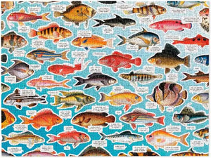Judgy Fish Puzzle 1000pc