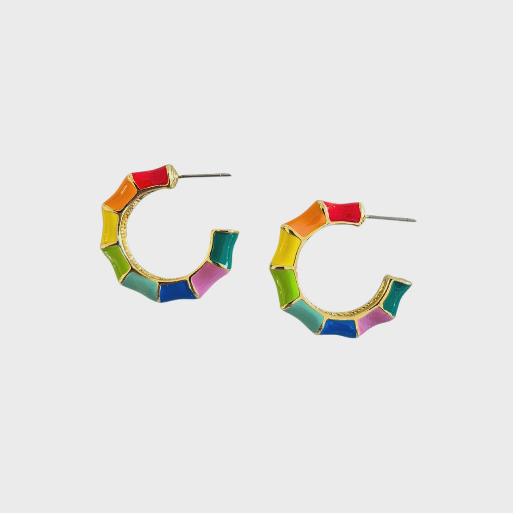 Enamel Hoop Earring Rainbow