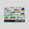 Judgy Fish Puzzle 1000pc