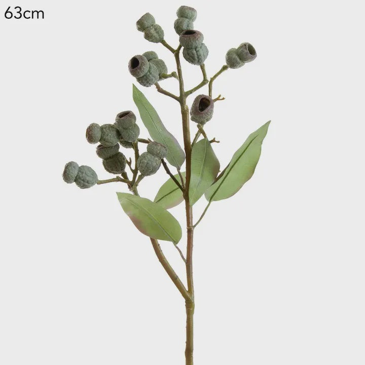 Eucalyptus Gumnut Spray 64cm