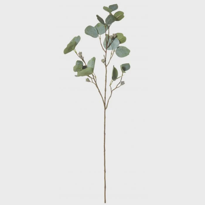 Eucalyptus Pod Stem 85cm Green