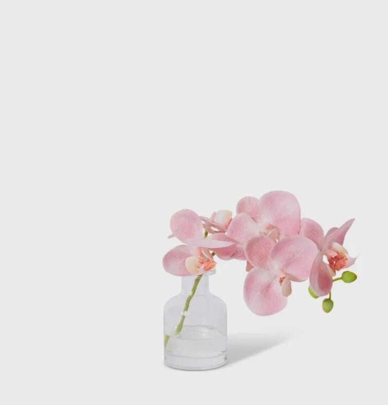 Phalaenopsis Orchid In Vase Pink