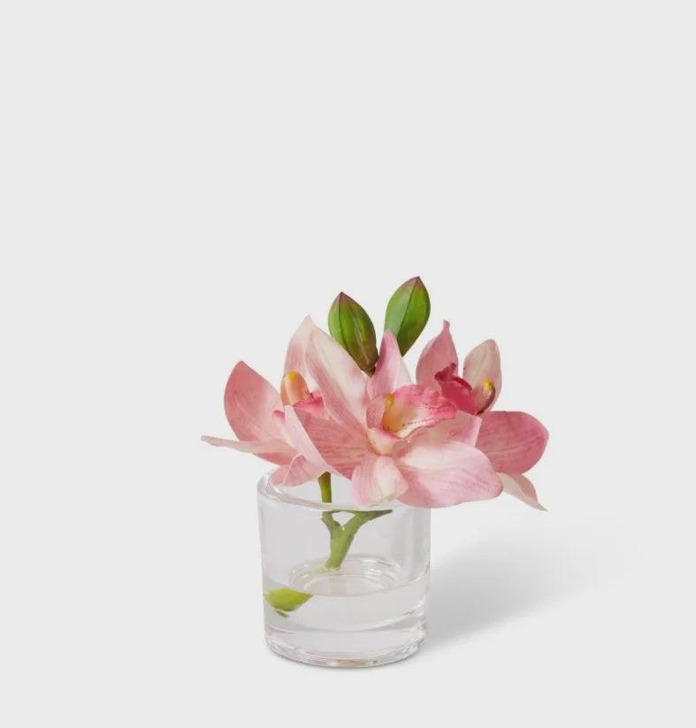 Cymbidium Orchid In Vase Pink 15cm
