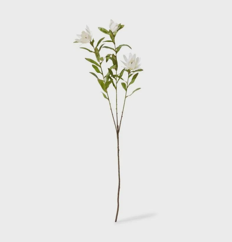Protea Orientale Spray White 99cm