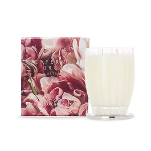 Large Soy Candle 370g
