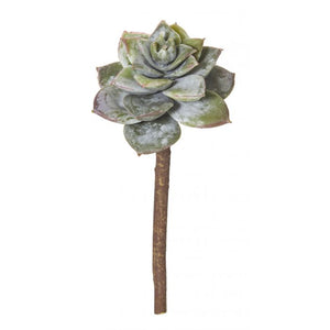 Flower Echeveria Pick 14cm Green